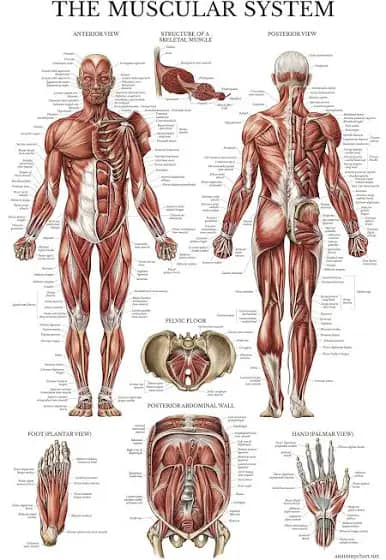 Yashwant Paramedical College, Nanded